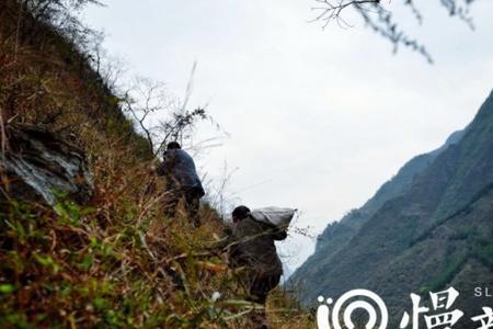 把父母背上山喂乌鸦的电影