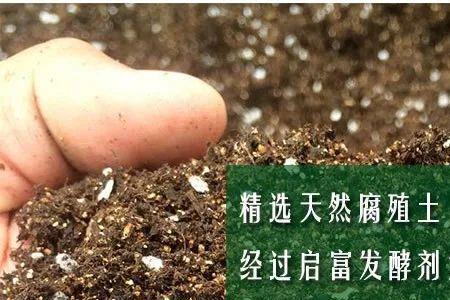 秸秆发酵用什么生物菌好