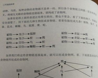 动物分为哪四类