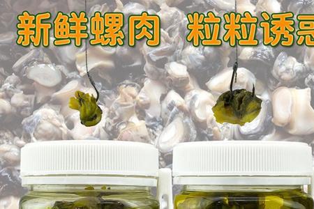 青鱼颗粒和螺蛳哪个好