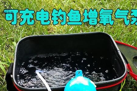 6厘米大的气泡石用多大的氧气泵