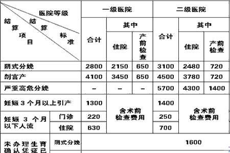 安徽社保生育保险报销条件