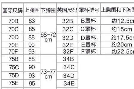 女性胸围36是什么型号