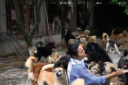 地摊售卖宠物需要什么证件