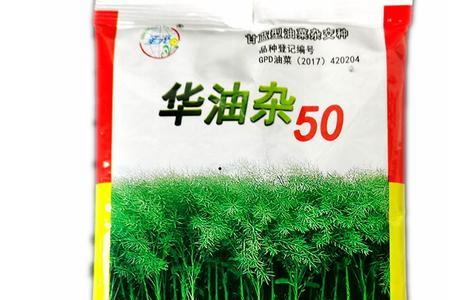 华油66油菜种子