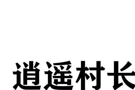 村长能开公司吗