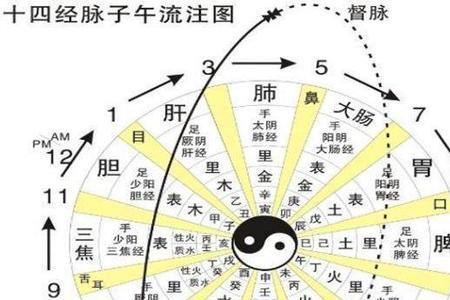 人体节律有科学依据吗