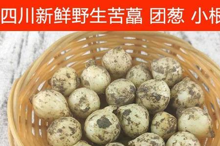 新鲜苦茭怎样保存不坏