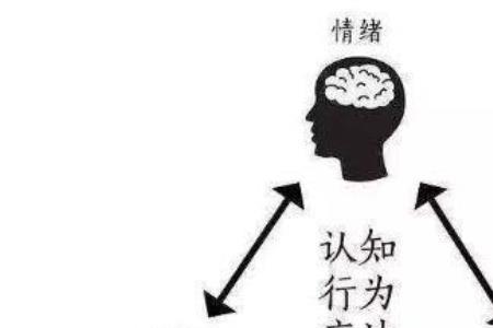 情感的社会功能又叫什么