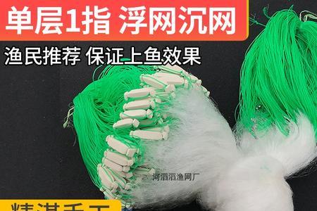 粘鱼网6分与一指哪个网眼大