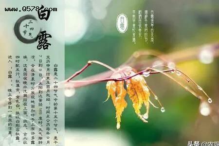 农村的二十四节是什么意思