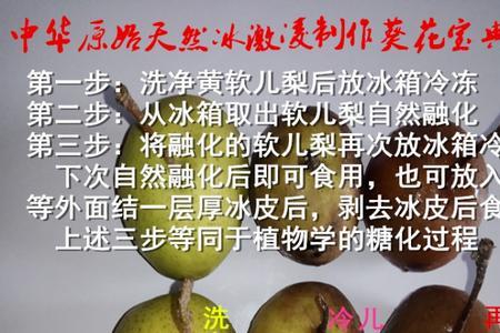 兰州巴梨如何由绿变黄