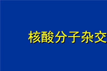 kb分子是什么意思