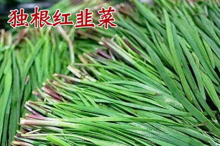 寒露后韭菜籽能种吗