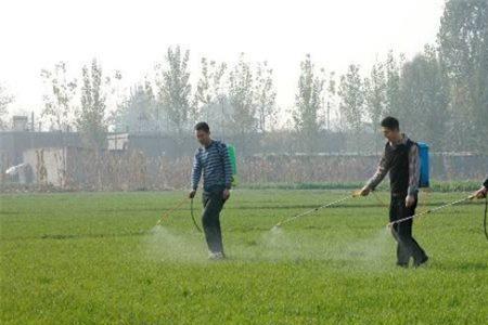 多少温度打除草剂为最佳