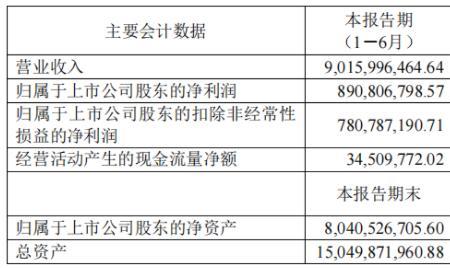 股东看财报是什么