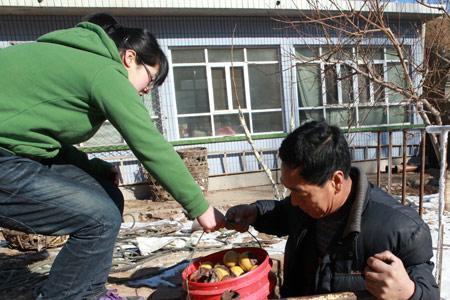 农家院子挖菜窖在什么位置好