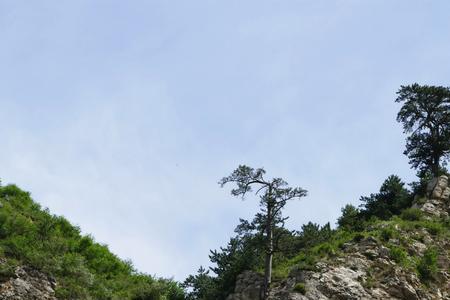 北岳恒山的动物种类有多少种