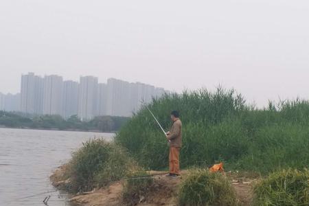 灞河上游哪里露营钓鱼人少