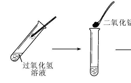 初中化学中催化剂有哪几种