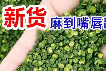 麻椒和蜀椒的区别