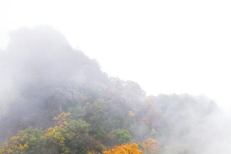 武当山登顶最省力的方法