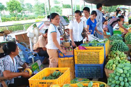 虎门水果批发市场哪里最便宜