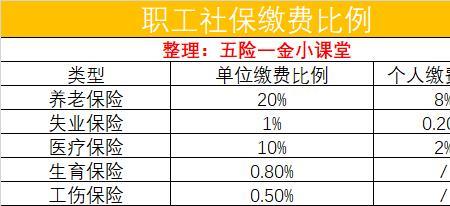 大市社保和区社保有什么区别