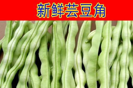 龙豆和四季豆一样吗