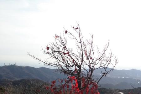 香炉峰山顶全程长度