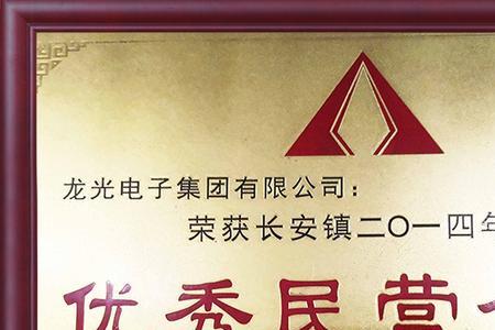 龙光电子集团是上市公司吗