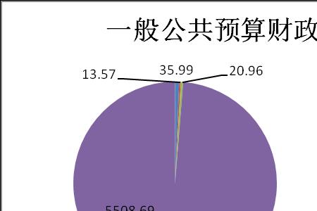 社保类开支是财政支出吗