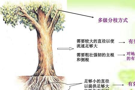 土壤是植物生存的必要条件