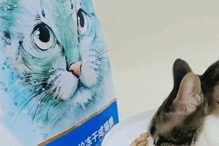 20斤猫粮成年猫咪吃多久