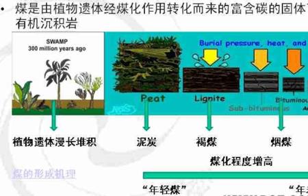 瘦煤和瘦焦煤区别