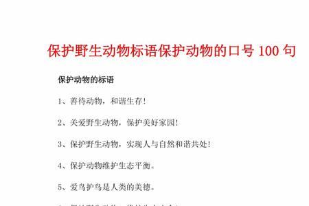 爱护动物和保护动物的区别