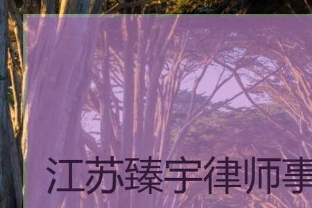 江苏琼宇仁方律师事务所怎么样