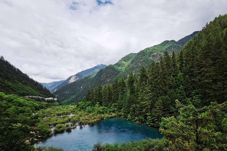 九寨沟的名句:树在水中生