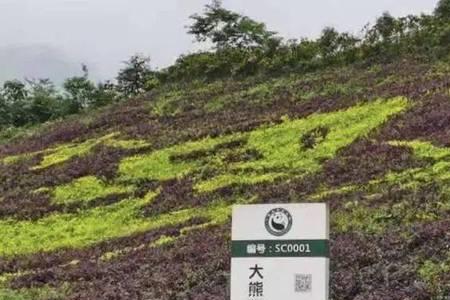 瓦屋山有野生动物园吗