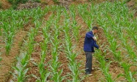 在农村种地注册什么公司