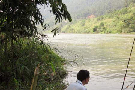 夏天早上水库钓鱼钓浅还是钓深