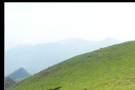 高寒荒漠和高山草甸区别