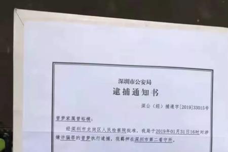 判决后无法羁押如何处理