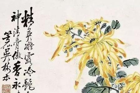 关于王安石菊花的诗句