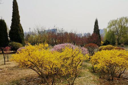 保定植物园尧园介绍