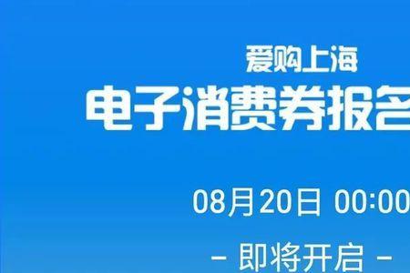 上海爱购消费券可以交水电费吗