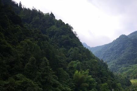 利川避暑怎么去