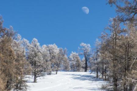 雪景做头像代表什么