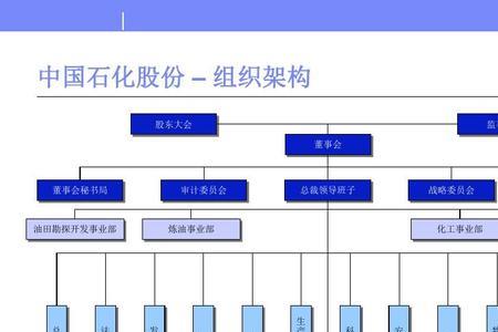 石化的分类