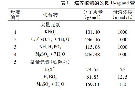 zncl2是沉淀吗